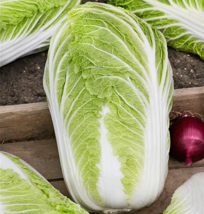 China-Kohl