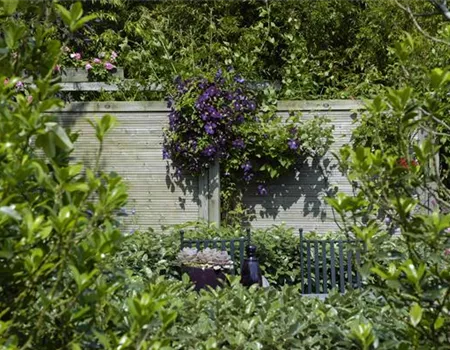 Nachbarn? Nein, danke! Der passende Sichtschutz für den Garten Nachbarn? Nein, danke! Der passende Sichtschutz für den Garten