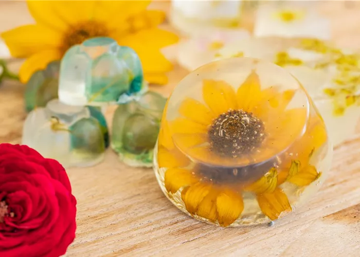 Blumenseife - die etwas andere Seife mit Blüten Blumenseife - die etwas andere Seife mit Blüten