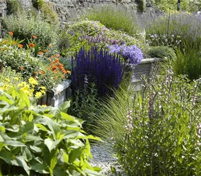 Das Staudenbeet – ein Blütenmeer im Garten