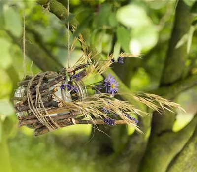 Ein Vogelhaus aus einem Weckglas - gläserner Futter-Stopp für Vögel Ein Vogelhaus aus einem Weckglas - gläserner Futter-Stopp für Vögel