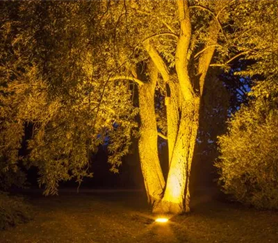 Weihnachts-Lichter-Gärten