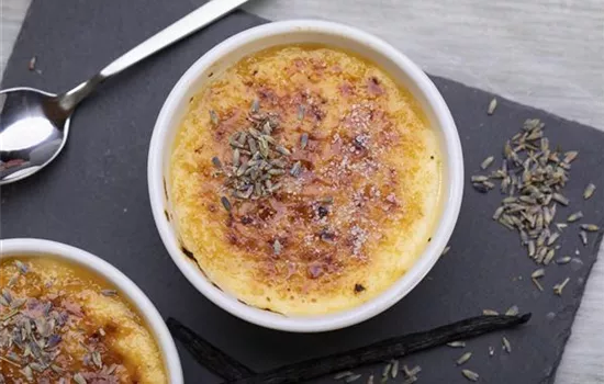 Crème brûlée mit Lavendel