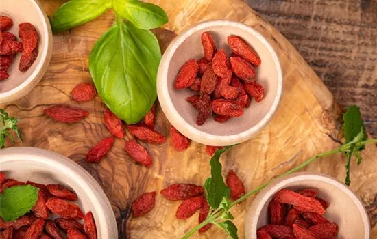 Goji-Beeren – Superfood aus Fernost im eigenen Garten