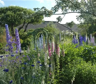 Jetzt ist es wieder soweit: Die Gartengestaltung mit Stauden